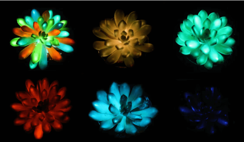 Credit: Liu et al, Matter