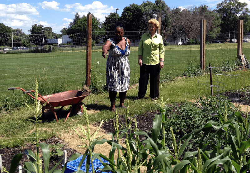 Community garden in Kalamazoo Credit: Creative Commons
