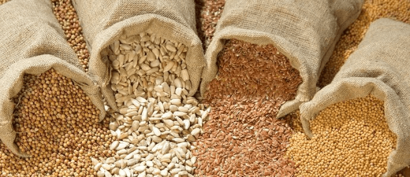 Seed-Banking-feat