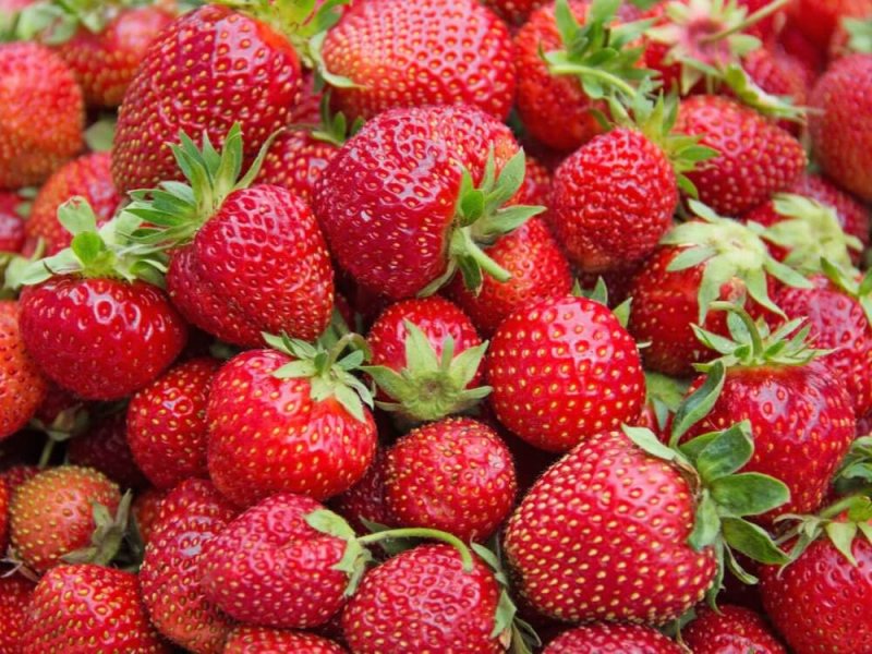 Strawberry Inflammation