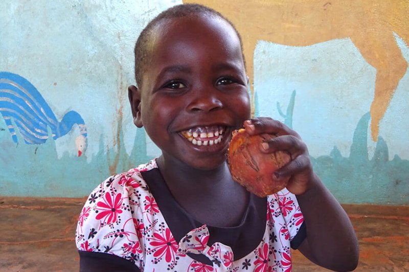 Child in Malawi eats a sweet potato with boosted vitamin A levels. Credit: Ripple Africa