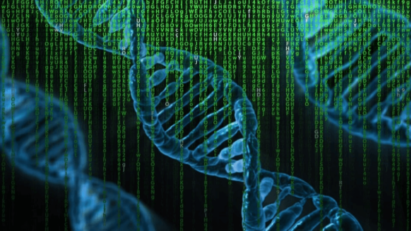 Would you donate your DNA to solve crimes? The nonprofit DNA Justice Foundation aims to rewrite detective work