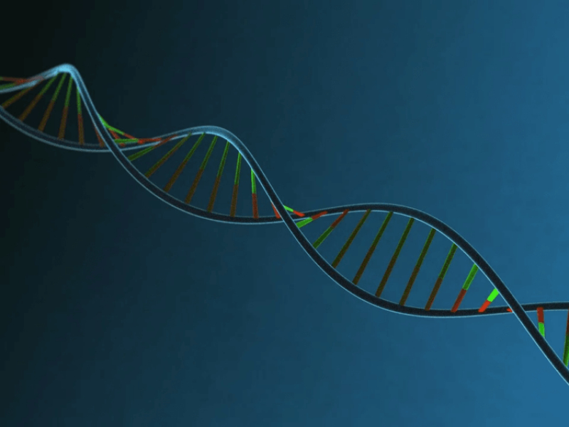 ‘Supercells have changed my life’: The $3 million sickle cell disease CRISPR cure