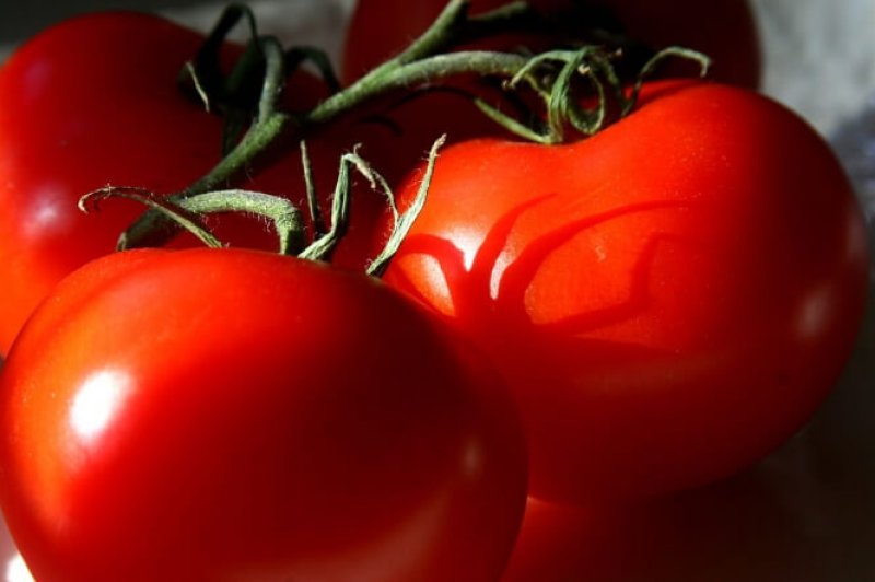 Tomatoes articleimage