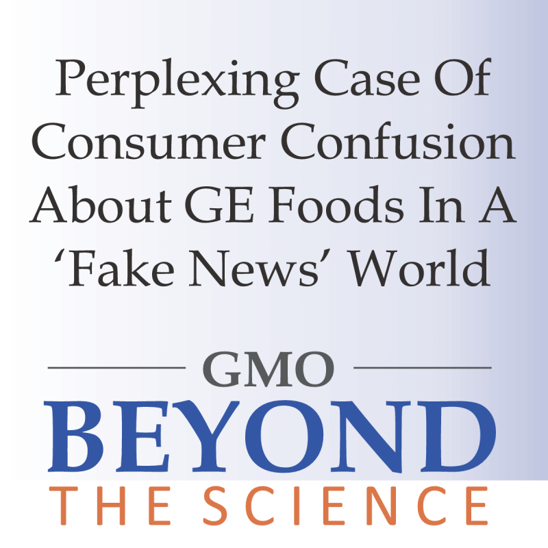 UPDATED CAPS REVISED Perplexing Case of Consumer Confusion About GE Foods Featured Image
