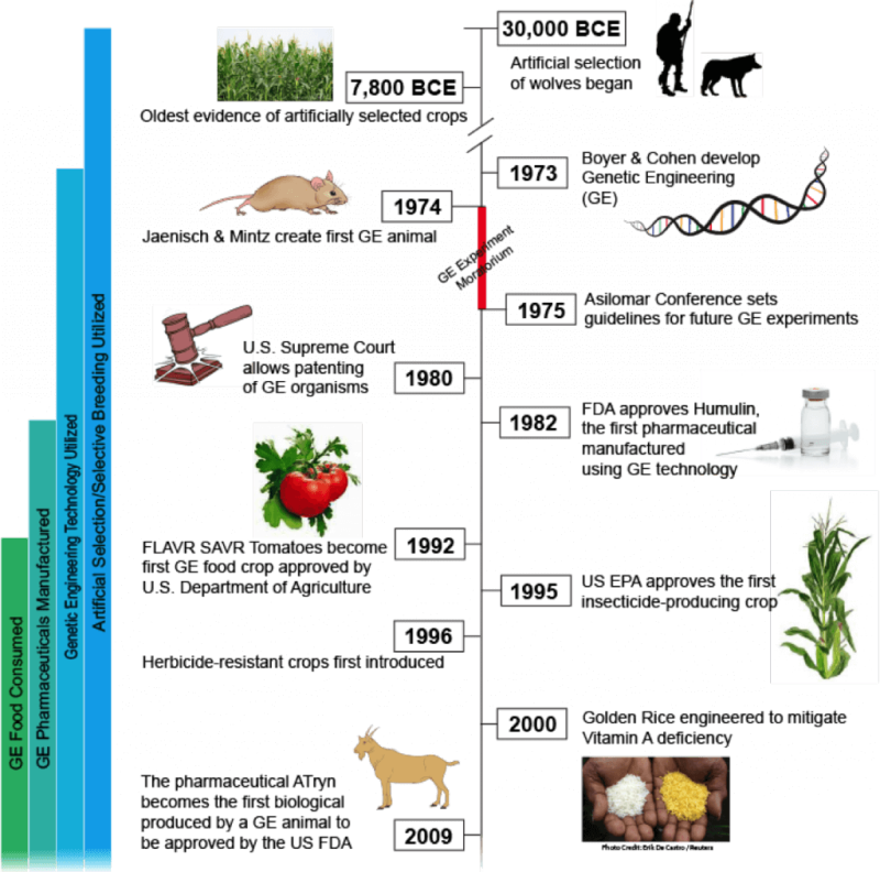 A short history of GMOs, from prehistoric times to today - Genetic Literacy  Project