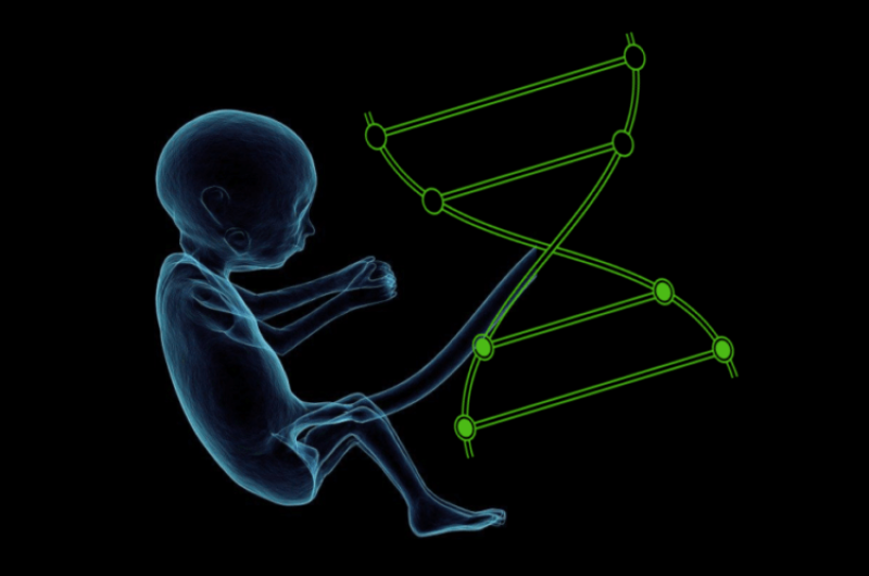 Saving human lives: Using gene therapy to cure diseases in the womb
