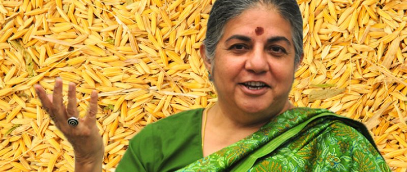 Vandana Shiva on Rice Background