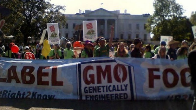 Washington State GMO labeling initiative to go to the voters in a November ballot strict xxl