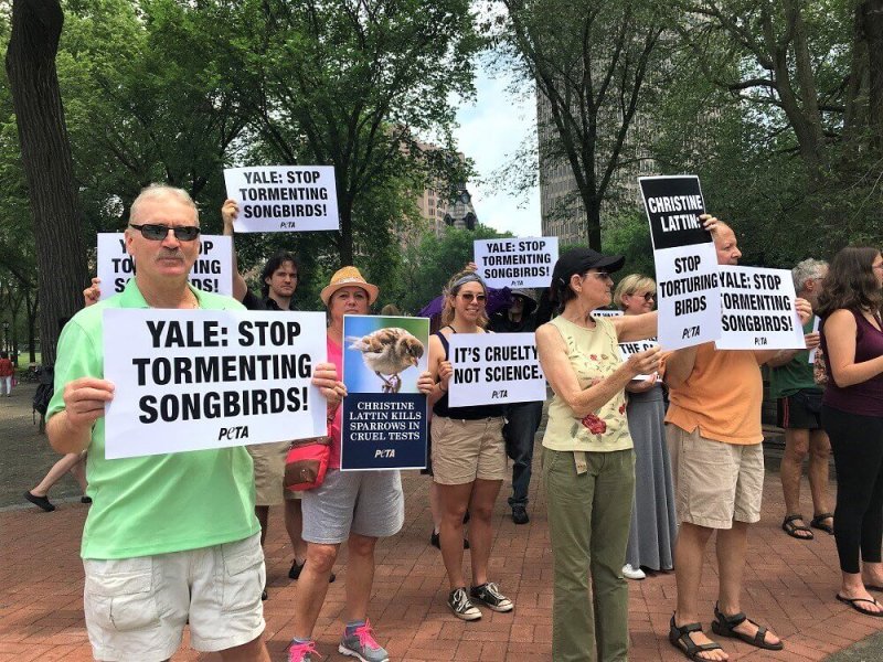 Yale protests