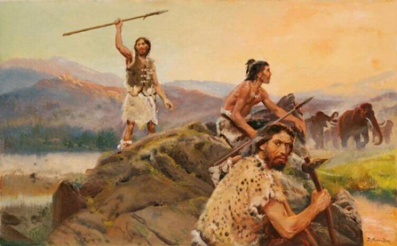 Homo Sapiens were the apex predators as indicated by their diet of primarily meat