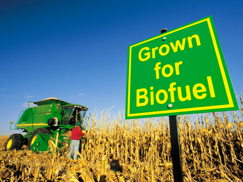 India debates new ways to make biofuels as sustainability threats rise