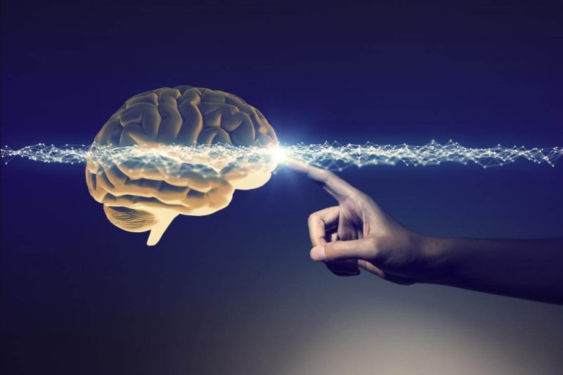 a hand touching the human brain