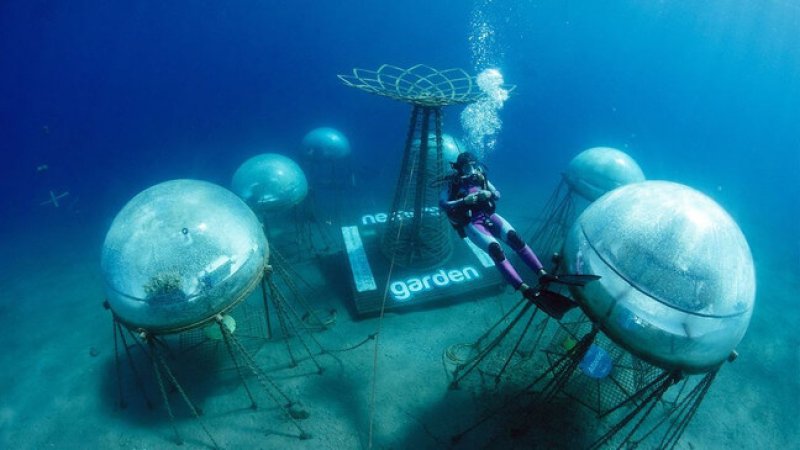 A diver floats between the six biospheres of Nemo’s Garden off the Liguarian coast of Italy. Credit: Ocean Reef Group & Nemo’s Garden/Zenger