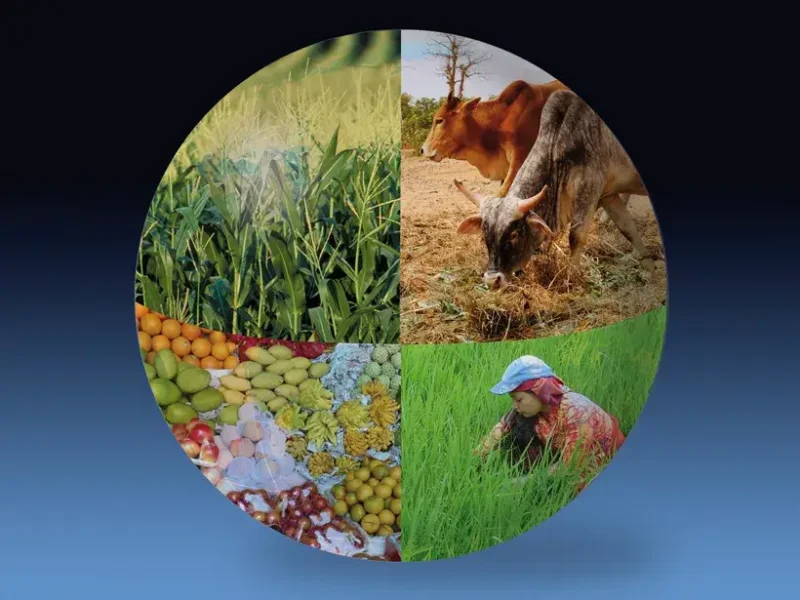 agmipglobe2_main_Web.jpg