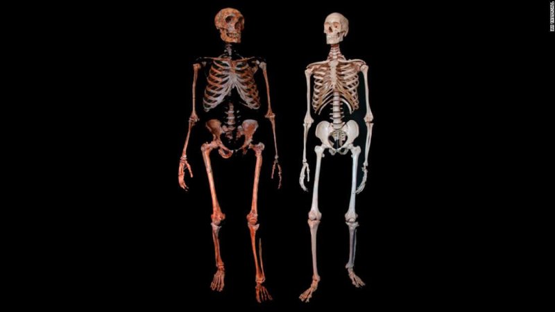 ancient finds neanderthal skeletons super