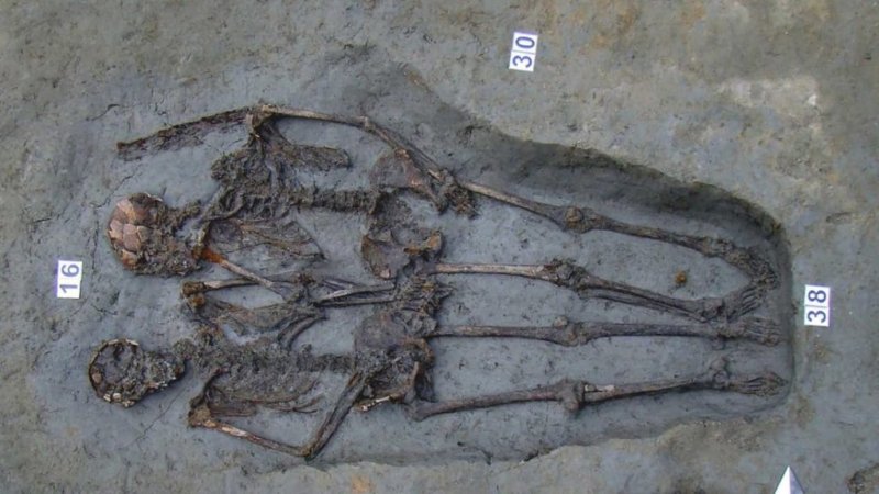Ancient skeletons unearthed in Modena, Italy. Credit: ArtNet