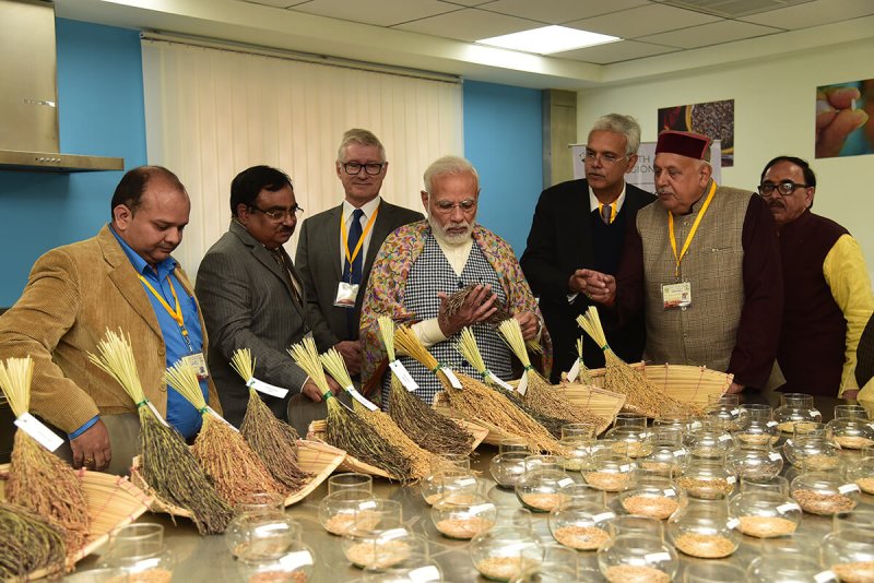 Last year, a group of eminent agriculture scientists wrote to Prime Minister Narendra Modi asking for ease of release of genome-editing technology for the sector. Credit: IRRI