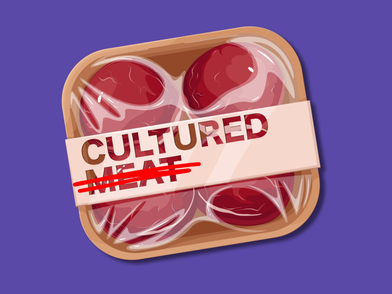 arizona republican lab grown meat ban bill