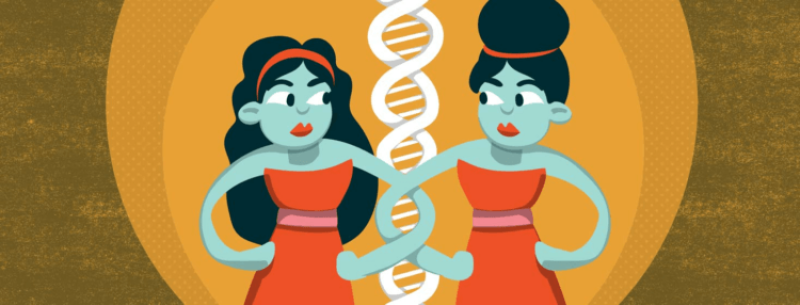 Twins and the debate about biology and the environment