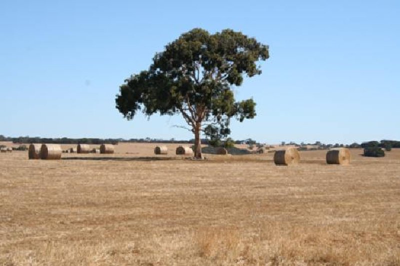 australia farming