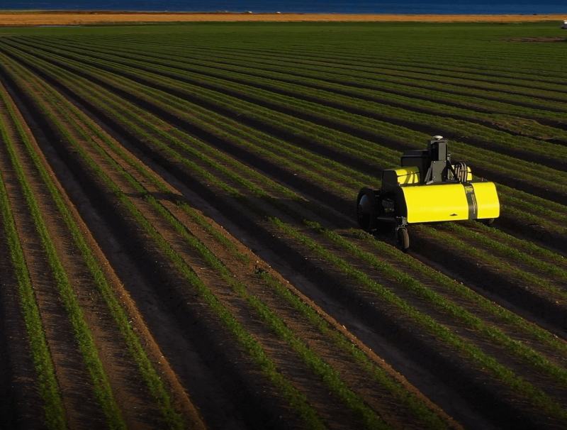 The AX-1 precision herbicide robot. Credit: Kilter