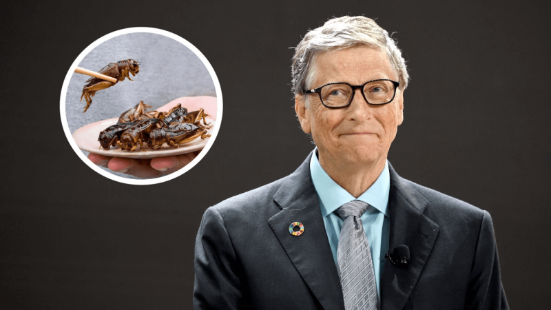 bill gates advised eating crickets
