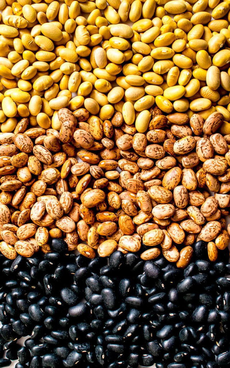 black pinto canary mexican beans