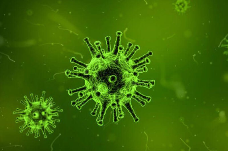 A VLP, or virus-like particle.