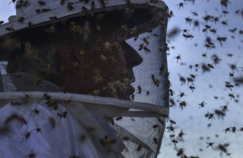 Credit: Reuters