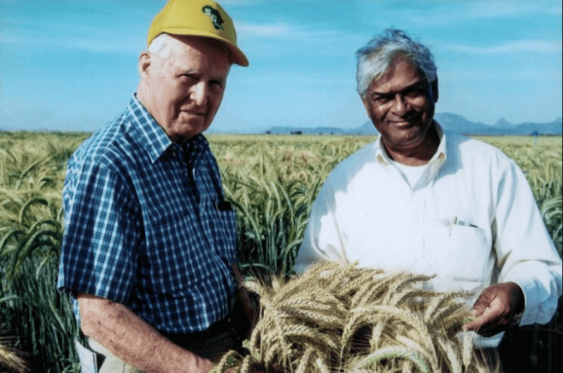 Nobel Peace Prize laureate Norman Borlaug (L) with 2014 World Food Prize laureate Sanjaya Rajaram. Credit: CIMMYT