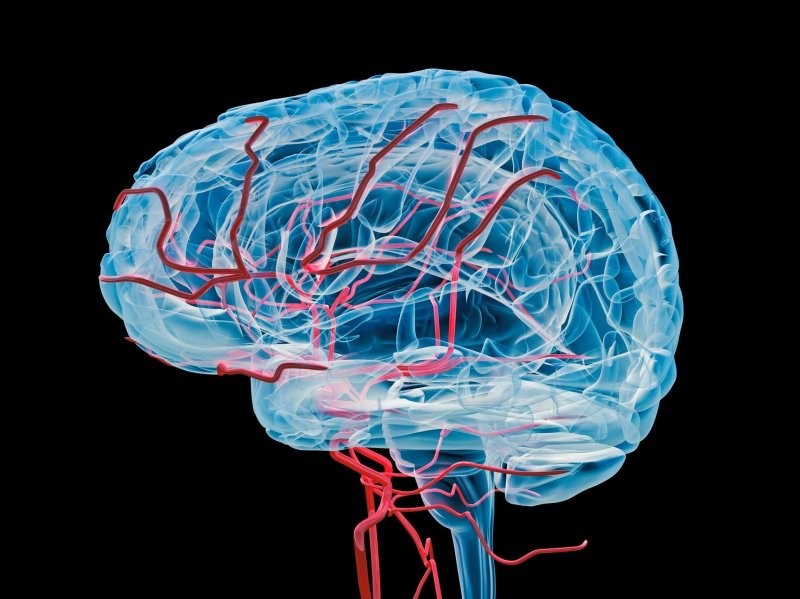 brain computer interface vein