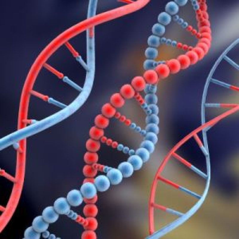 breast cancer genes