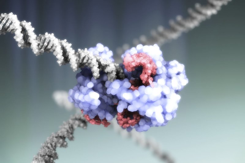 c crispr cas gene editing complex illustration spl
