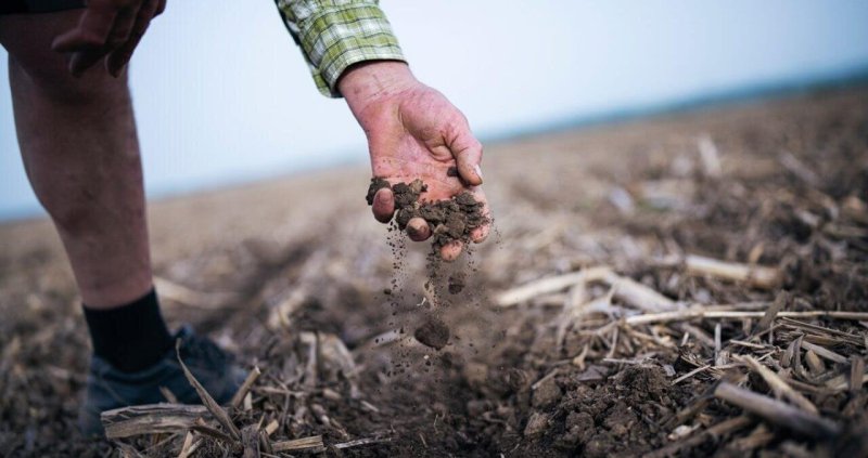 Capturing carbon in soil seems to be the trend.
Credit: ArtistGNDphotography/iStock