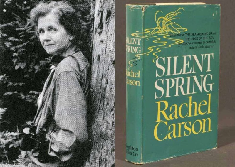 Rachel Carson. Credit: Natural History Society