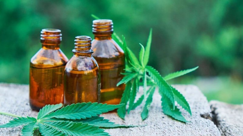 cbd oil for weight loss x feature