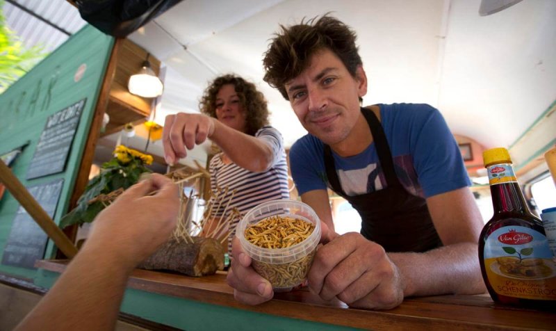 Microbar food truck owner Bart Smit holds a container of yellow mealworms during a food truck festival. Credit: Virginia Mayo