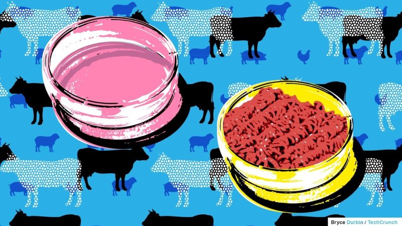 Microbial 'meat'
does not require pesticides and has a higher protein content than animal meat. In addition, it could be genetically engineered for a fortified vitamin and mineral content, as well as to approximate its taste and texture to that of red
meat. Credit: Bryce Durbin via TechCrunch