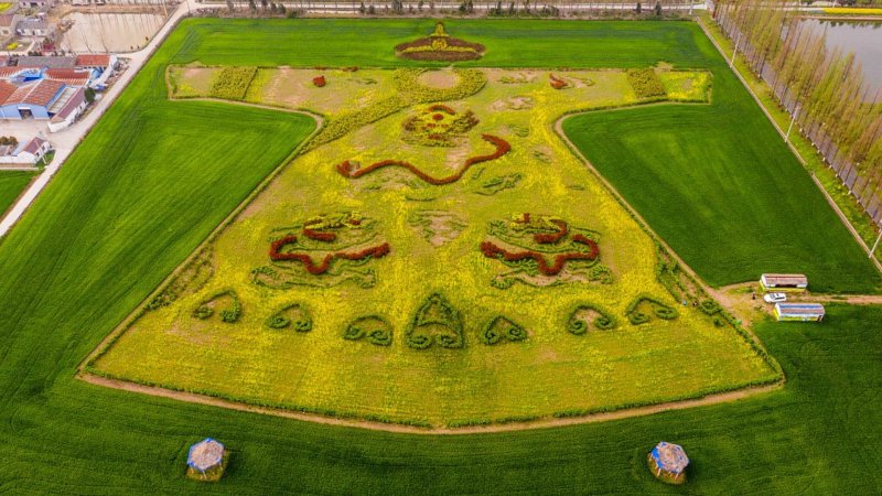 "Crop painting" depicting traditional imperial regalia, located near Nanjing City, Jiangsu Province. Credit: Visual China Group