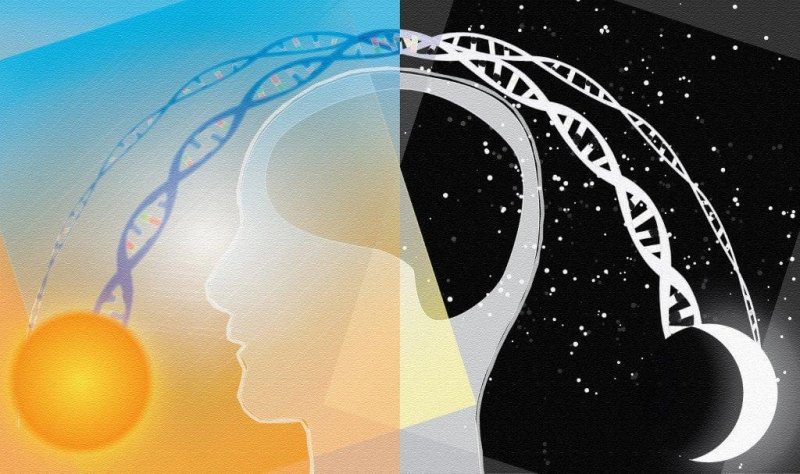 Credit: Darryl Leja/National Human Genome Research Institute