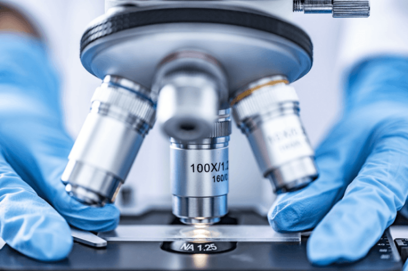 Lab-grown human eggs: Startup sims to transform stem cells into eggs, helping infertile people have babies at any age