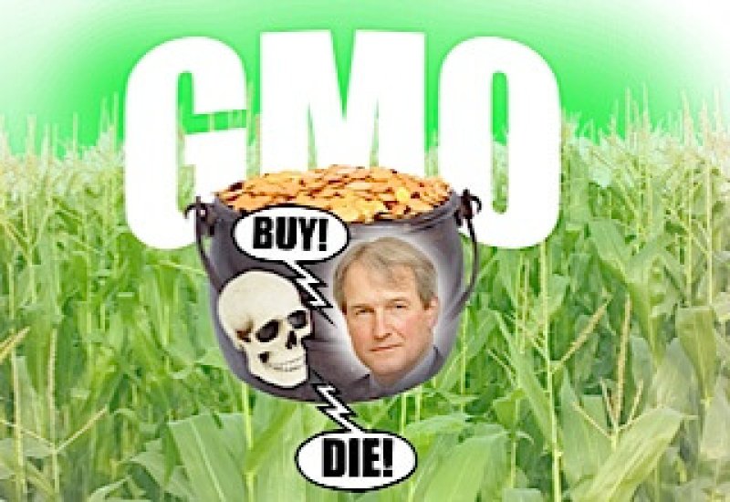 composite GMO scaled
