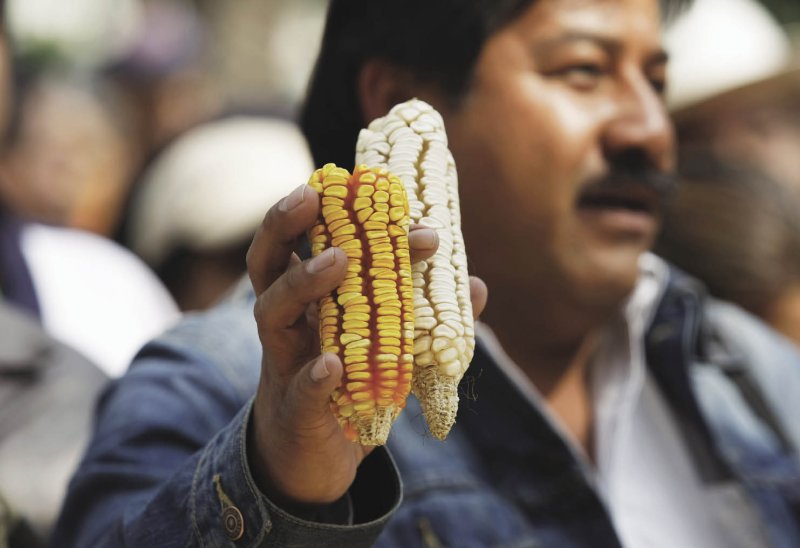 Mexico’s farm sector is already lagging as GM crop ban looms