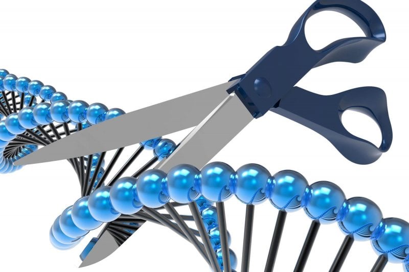‘Universal scissors’ CRISPR Cas9 sister protein cuts both DNA
