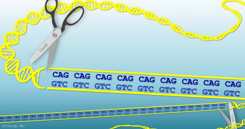 Credit: NIH