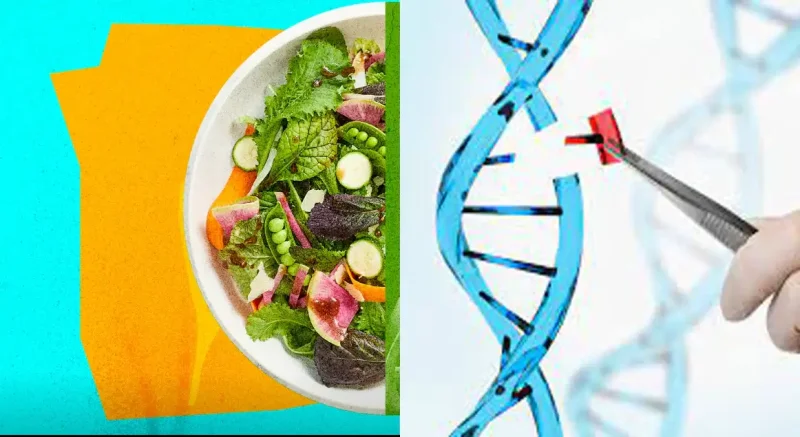 crispr-gmo-greens-2-1686931309578_1400x.png
