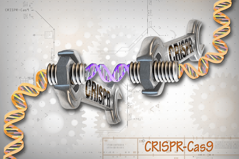 Credit: National Human Genome Research Institute via  CC-BY-2.0