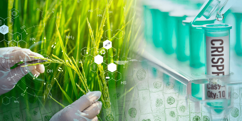 crispr technology in the agricultural industry pa