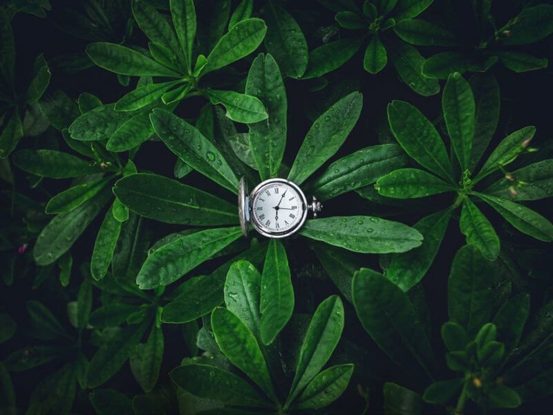 Credit: Shutterstock